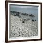 Basketmakers on the Shores of the Indus River-Paul Almasy-Framed Photographic Print