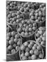 Baskets of Apples-Philip Gendreau-Mounted Photographic Print