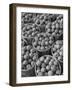 Baskets of Apples-Philip Gendreau-Framed Photographic Print