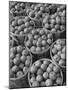 Baskets of Apples-Philip Gendreau-Mounted Photographic Print