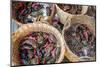 Baskets of live crabs for sale at Central Market (Psah Thom Thmey), Phnom Penh, Cambodia-Jason Langley-Mounted Photographic Print