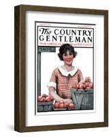 "Baskets of Peaches," Country Gentleman Cover, August 4, 1923-Katherine R. Wireman-Framed Giclee Print