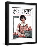 "Baskets of Peaches," Country Gentleman Cover, August 4, 1923-Katherine R. Wireman-Framed Giclee Print