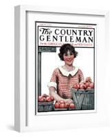 "Baskets of Peaches," Country Gentleman Cover, August 4, 1923-Katherine R. Wireman-Framed Giclee Print