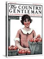"Baskets of Peaches," Country Gentleman Cover, August 4, 1923-Katherine R. Wireman-Stretched Canvas