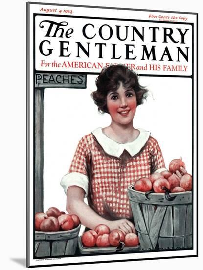 "Baskets of Peaches," Country Gentleman Cover, August 4, 1923-Katherine R. Wireman-Mounted Giclee Print