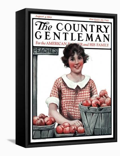 "Baskets of Peaches," Country Gentleman Cover, August 4, 1923-Katherine R. Wireman-Framed Stretched Canvas