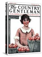 "Baskets of Peaches," Country Gentleman Cover, August 4, 1923-Katherine R. Wireman-Stretched Canvas