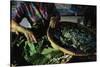 Baskets of Silkworms-Paul Souders-Stretched Canvas