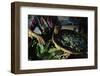 Baskets of Silkworms-Paul Souders-Framed Photographic Print