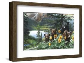 Basking in the Balsams-Kevin Daniel-Framed Art Print