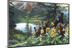 Basking in the Balsams-Kevin Daniel-Mounted Art Print