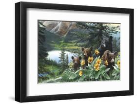 Basking in the Balsams-Kevin Daniel-Framed Giclee Print