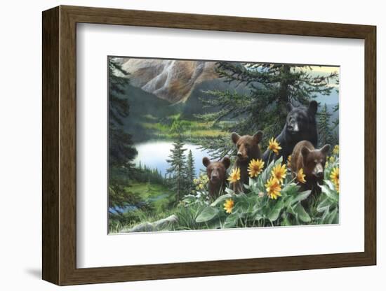 Basking in the Balsams-Kevin Daniel-Framed Giclee Print