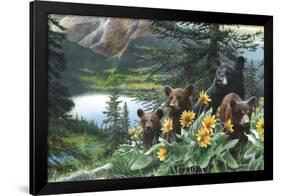 Basking in the Balsams-Kevin Daniel-Framed Giclee Print