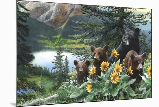 Basking in the Balsams-Kevin Daniel-Mounted Giclee Print