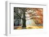 Basking In The Sun-Lars Van de Goor-Framed Photographic Print