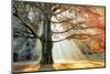 Basking In The Sun-Lars Van de Goor-Mounted Photographic Print