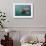 Basking Shark (Cetorhinus Maximus) Feeding, Mull, Scotland, June 2009-Sá-Framed Photographic Print displayed on a wall