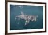 Basking Shark (Cetorhinus Maximus) Off the Island of Mull, Scotland, June-Sá-Framed Photographic Print