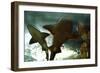 Basking Sharks in the Aquarium, Loro Parque, Tenerife, Canary Islands, 2007-Peter Thompson-Framed Photographic Print