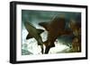 Basking Sharks in the Aquarium, Loro Parque, Tenerife, Canary Islands, 2007-Peter Thompson-Framed Photographic Print