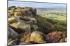 Baslow Edge, early autumn heather, view to Baslow village, Peak District Nat'l Park, England-Eleanor Scriven-Mounted Photographic Print
