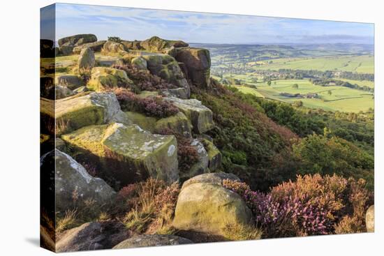 Baslow Edge, early autumn heather, view to Baslow village, Peak District Nat'l Park, England-Eleanor Scriven-Stretched Canvas