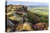 Baslow Edge, early autumn heather, view to Baslow village, Peak District Nat'l Park, England-Eleanor Scriven-Stretched Canvas