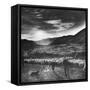 Basque Shepherd, Recent Immigrant from Macaye, France-Carl Mydans-Framed Stretched Canvas