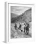 Basque Shepherder Bertrand Borda Carring a Stray Lamb Back to the Herd-Carl Mydans-Framed Photographic Print