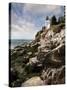 Bass Harbor Head Lighthouse & Foothill-Monte Nagler-Stretched Canvas