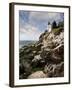 Bass Harbor Head Lighthouse & Foothill-Monte Nagler-Framed Photographic Print