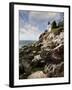 Bass Harbor Head Lighthouse & Foothill-Monte Nagler-Framed Photographic Print