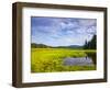 Bass Harbor Marsh in Acadia National Park, Maine, USA-Chuck Haney-Framed Photographic Print