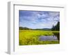 Bass Harbor Marsh in Acadia National Park, Maine, USA-Chuck Haney-Framed Photographic Print