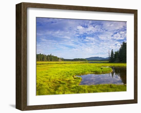 Bass Harbor Marsh in Acadia National Park, Maine, USA-Chuck Haney-Framed Photographic Print