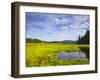 Bass Harbor Marsh in Acadia National Park, Maine, USA-Chuck Haney-Framed Photographic Print