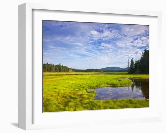 Bass Harbor Marsh in Acadia National Park, Maine, USA-Chuck Haney-Framed Photographic Print