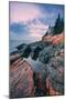 Bass Harbor Mood, Acadia National Park, Maine-Vincent James-Mounted Premium Photographic Print