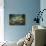 Bass Harbor Mood-Vincent James-Photographic Print displayed on a wall
