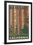 Bass Lake, California - Forest View-Lantern Press-Framed Art Print