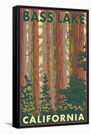 Bass Lake, California - Forest View-Lantern Press-Framed Stretched Canvas