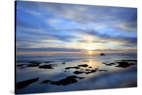 Bass Rock at Dawn, North Berwick, Scotland, UK, August. 2020Vision Book Plate-Peter Cairns-Stretched Canvas