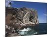 Bass Rock, Firth of Forth, Scotland, United Kingdom, Europe-Toon Ann & Steve-Mounted Photographic Print