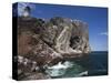 Bass Rock, Firth of Forth, Scotland, United Kingdom, Europe-Toon Ann & Steve-Stretched Canvas
