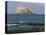 Bass Rock Gannetry, from the North Berwick Shore, East Lothian, Scotland, United Kingdom-Roy Rainford-Stretched Canvas