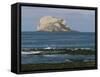 Bass Rock Gannetry, from the North Berwick Shore, East Lothian, Scotland, United Kingdom-Roy Rainford-Framed Stretched Canvas