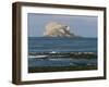 Bass Rock Gannetry, from the North Berwick Shore, East Lothian, Scotland, United Kingdom-Roy Rainford-Framed Photographic Print