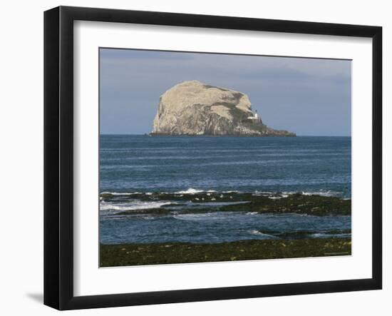 Bass Rock Gannetry, from the North Berwick Shore, East Lothian, Scotland, United Kingdom-Roy Rainford-Framed Photographic Print